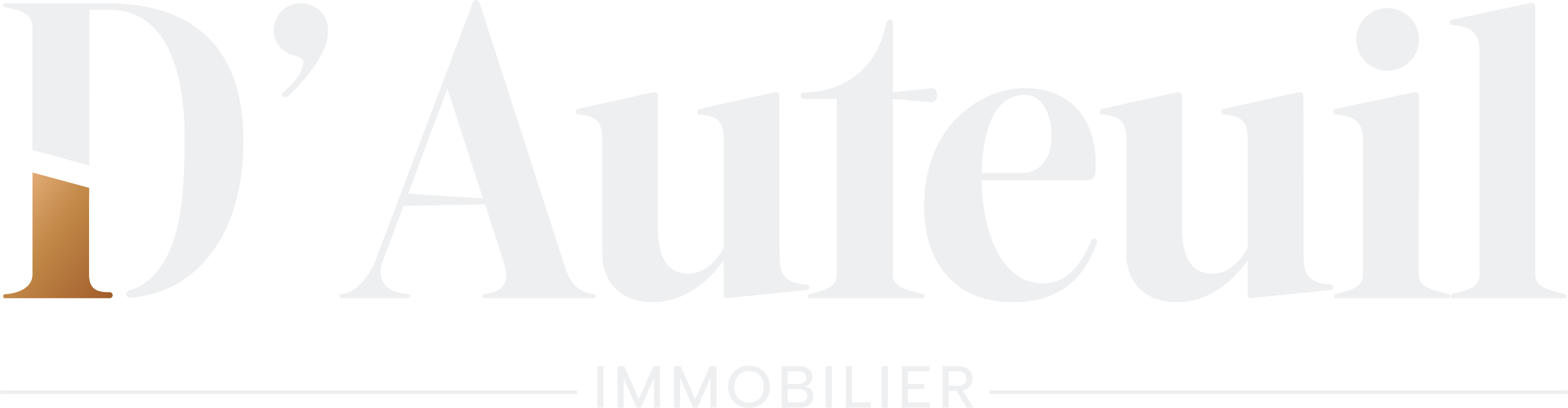 Logo Jean Philippe D'Auteuil